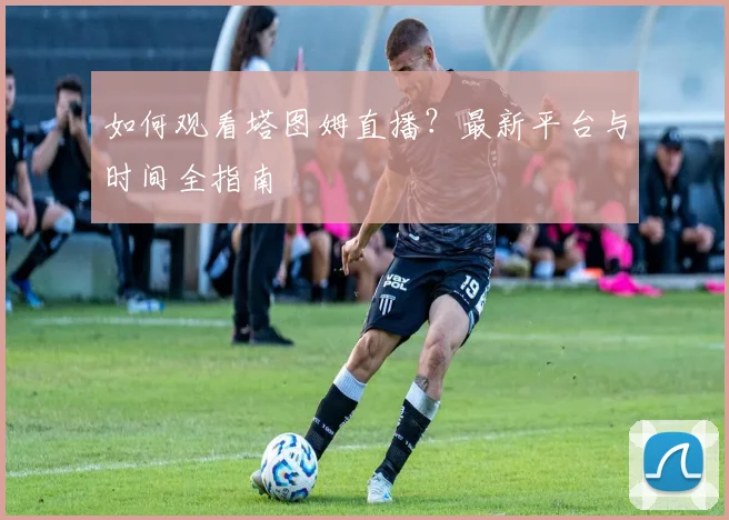 如何观看塔图姆直播？最新平台与时间全指南