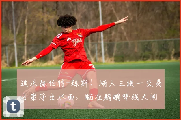 追求赫伯特-琼斯！湖人三换一交易方案浮出水面，瞄准鹈鹕锋线大闸