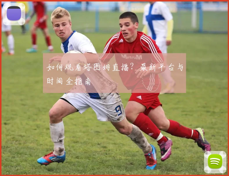 如何观看塔图姆直播?最新平台与时间全指南